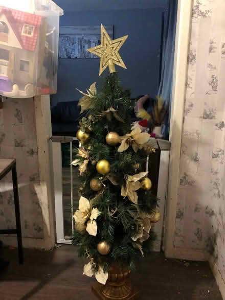 Photo of free Xmas tree (BD18) #1