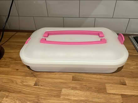 Photo of free Cake container (Horsham) #1