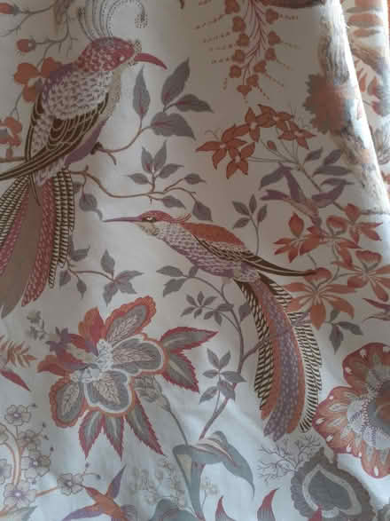 Photo of free Curtain (Bloxham OX15) #1