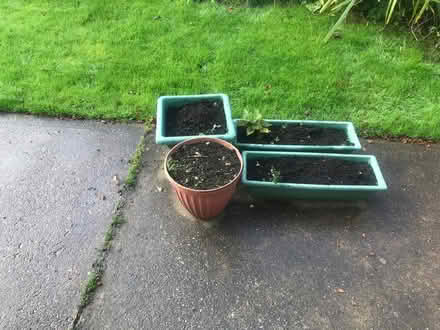 Photo of free 4 garden pots (Horsehay TF4) #1