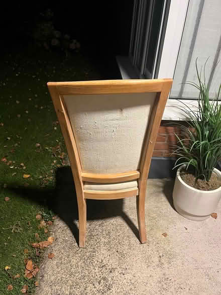 Photo of free 6 Dining Chairs (Rochestown) #1