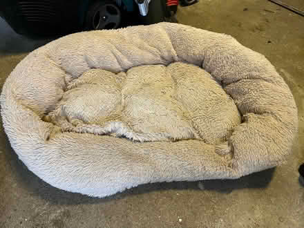 Photo of free Dog bed (Weston Park) #1