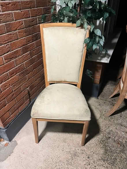 Photo of free 6 Dining Chairs (Rochestown) #2