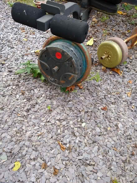 Photo of free Weights and bench (Kenilworth CV8) #2