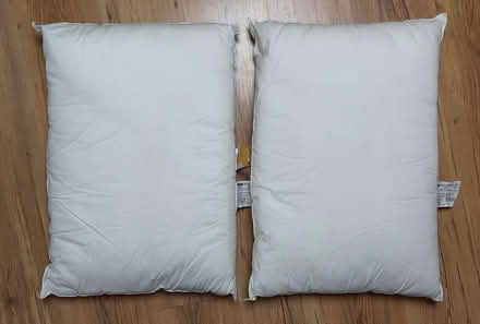 Photo of free Two pillows (Hinckley LE10) #1