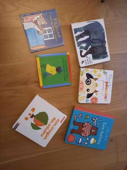 Photo of free French books (North Tonbridge TN10) #1