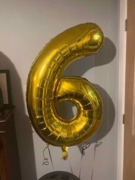 Photo of free 6 + 0 Gold Foil Balloons (Hollins BL9) #1