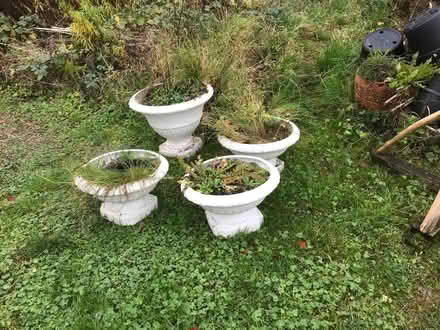 Photo of free Planters (Bishopstone SN6) #2