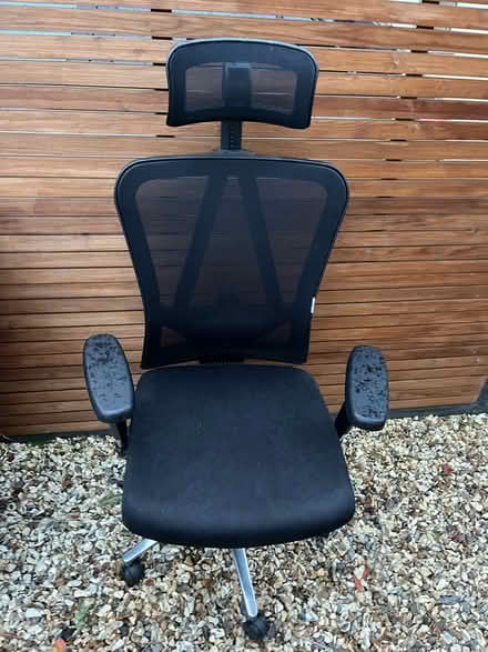 Photo of free Office chair (OX2) #1