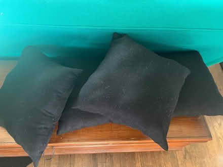 Photo of free 4 black pillows 15 x 15 (Hawthorne) #1