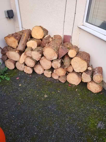 Photo of free Recently cut logs (Hester's Way GL51) #1