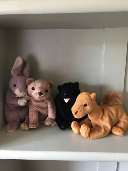 Photo of free Four Beanie Babies, No Tags (Harvey Close BS22) #2