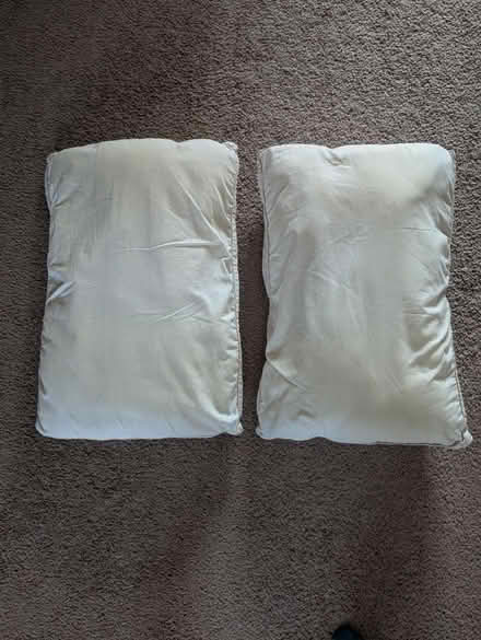 Photo of free Pillows (280/Winchester) #1