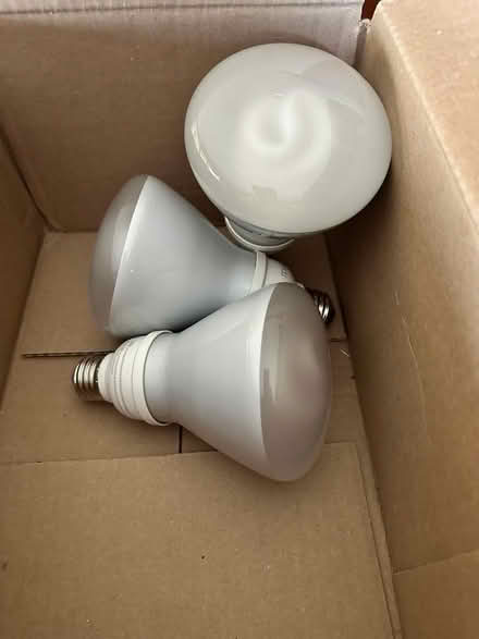 Photo of free 3 16w Light Bulbs (near Callahan State Park) #2