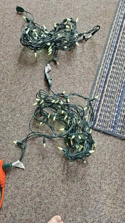 Photo of free Mini Lights (Greenboro East) #1