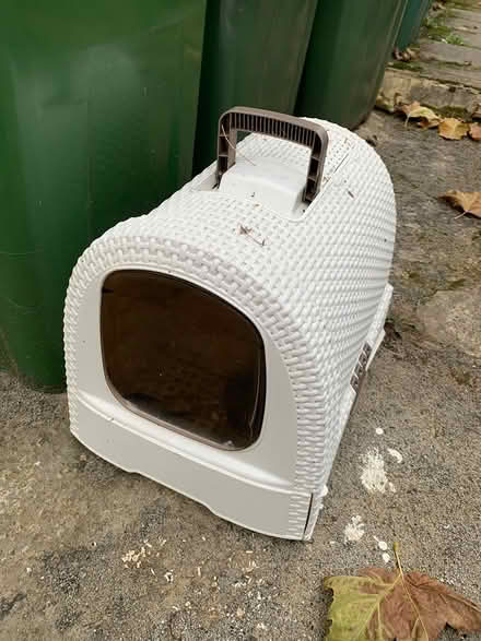 Photo of free Cat litter tray (Forest Gate) #1