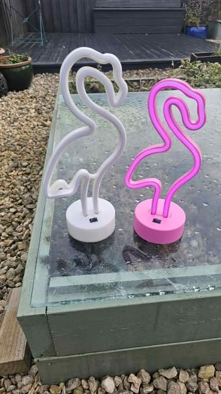 Photo of free Flamingo Lights (Broxburn, EH52) #1