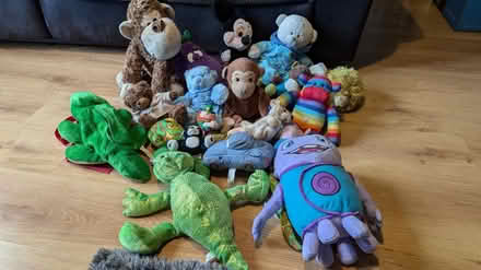 Photo of free Cuddly toys (SY11) #1