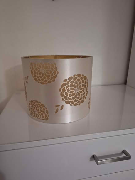 Photo of free Ceiling light shade (St Helens) #1