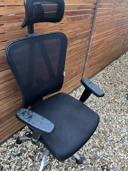 Photo of free Office chair (OX2) #3