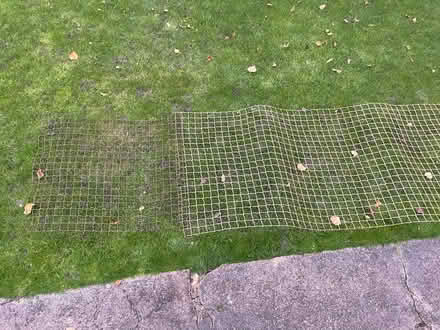 Photo of free Garden plastic mesh (N10 near Colney Hatch Lane) #2