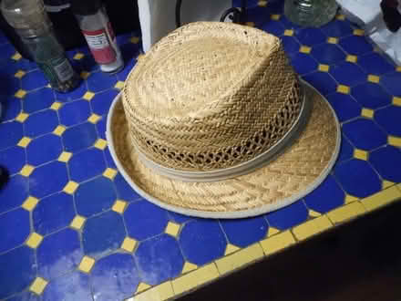 Photo of free Ladies summer hat #2