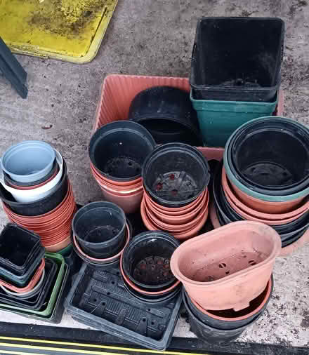 Photo of free Lots of plant pots and trays (Hartwood Green PR7) #1