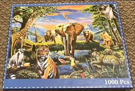 Photo of free 1000 piece jigsaw (Brinnington SK5) #2