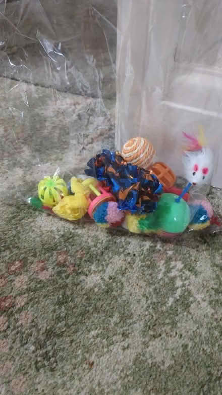 Photo of free Assorted cat toys (Torrisholme LA4) #1