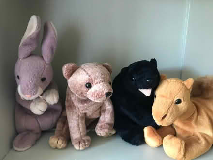 Photo of free Four Beanie Babies, No Tags (Harvey Close BS22) #1