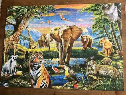 Photo of free 1000 piece jigsaw (Brinnington SK5) #1