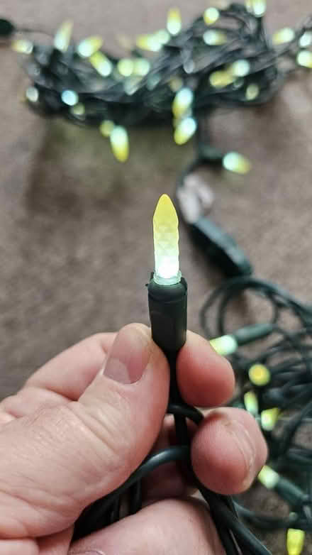 Photo of free Mini Lights (Greenboro East) #2