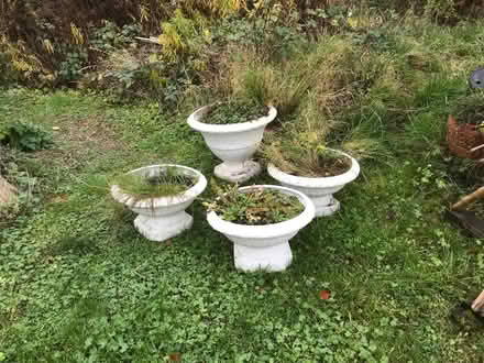 Photo of free Planters (Bishopstone SN6) #1