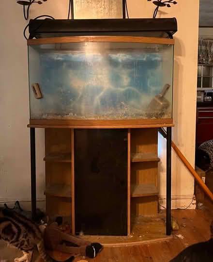 Photo of free Fish tank (Pibehurts Billerica area) #1