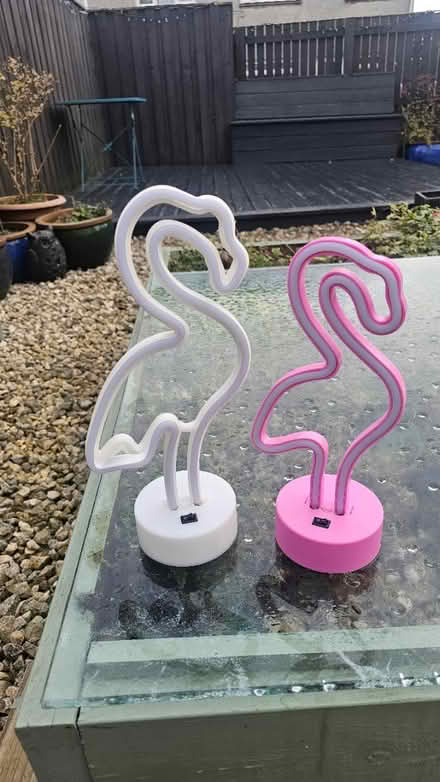 Photo of free Flamingo Lights (Broxburn, EH52) #2