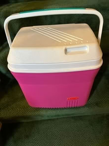 Photo of free rubbermaid cooler (Waters Landing) #1