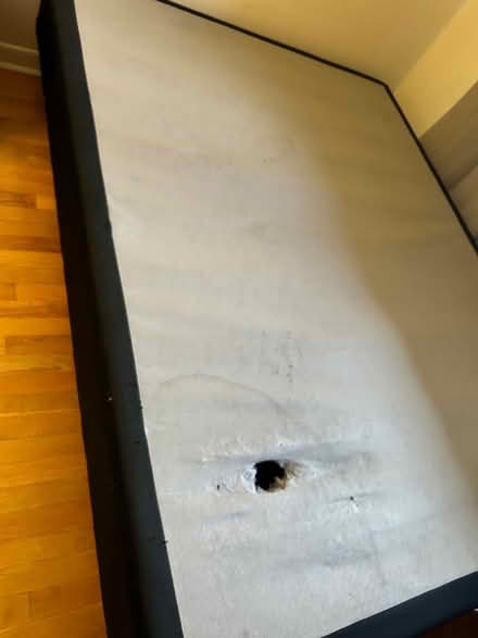 Photo of free Queen size box spring (Ottawa) #1