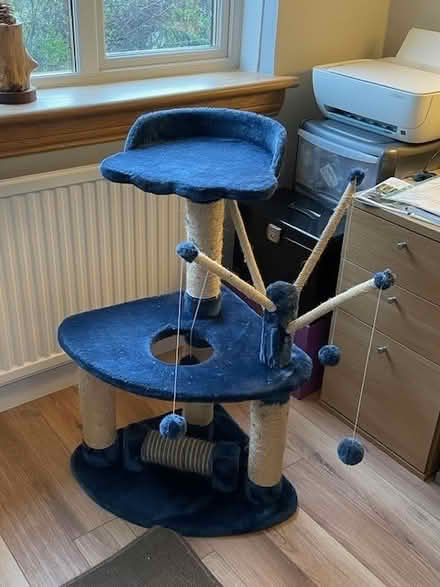 Photo of free Cat Play Station (Glasgow G12) #1