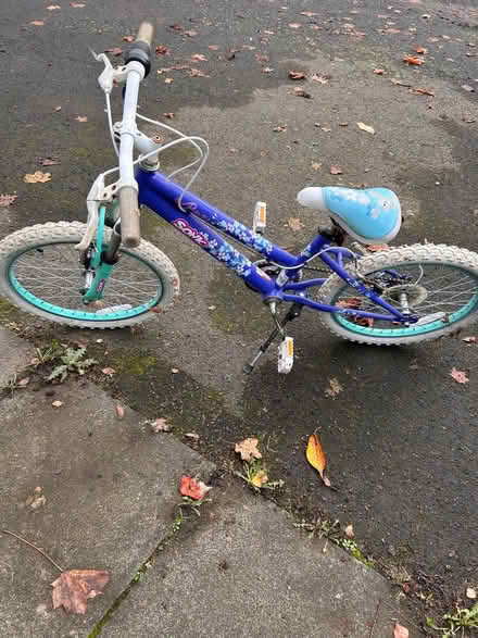 Photo of free Girls bike (Drumsill BT28) #2