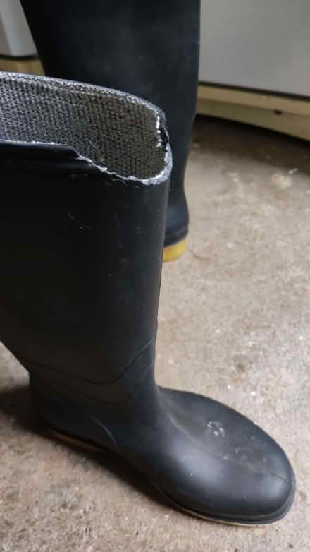 Photo of free Dunlop wellies size 5 (GU52) #3