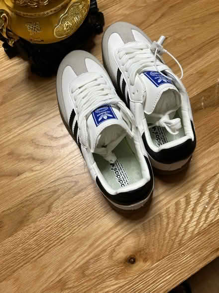 Photo of free Shoess (Cv10 9FZ nuneaton) #2