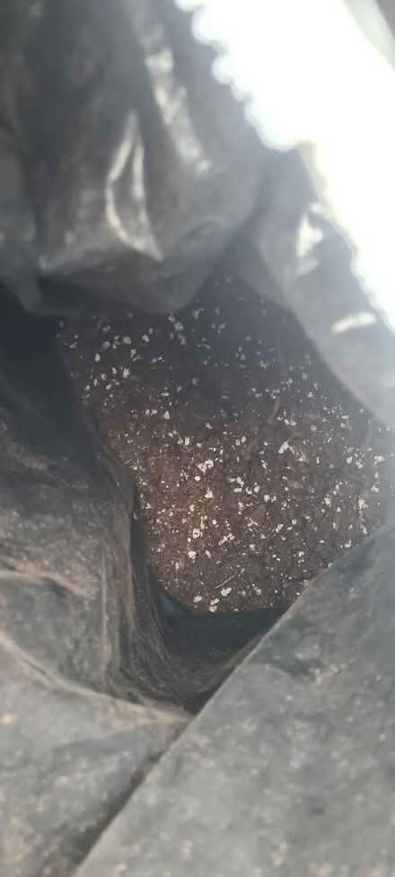 Photo of free Compost (Great Hollands RG12) #1