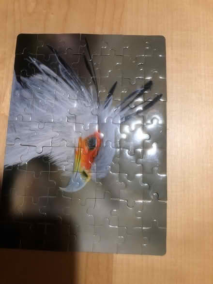 Photo of free Magnetic Jigsaw (North Tonbridge TN9) #2