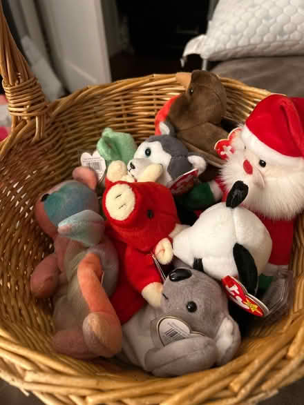 Photo of free Beanie babies with collectors cards (Wood-Ridge) #2