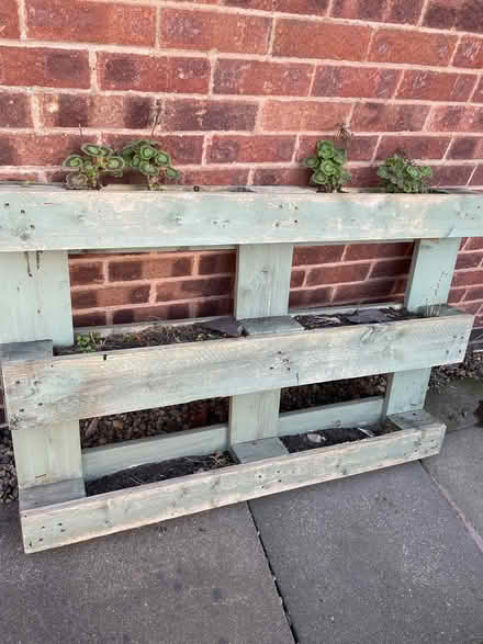 Photo of free Pallet (Mountsorrel LE12) #1