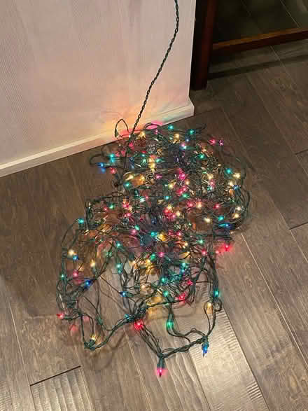 Photo of free Multi-color holiday net lights (Bothell, near Fernwood Elem.) #1