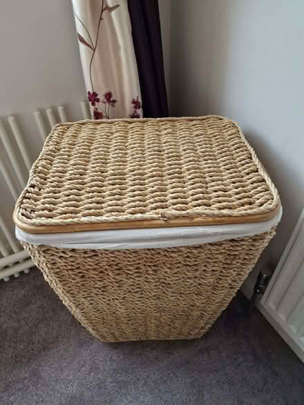 Photo of free Clothes Basket (Allesley Park CV5) #1