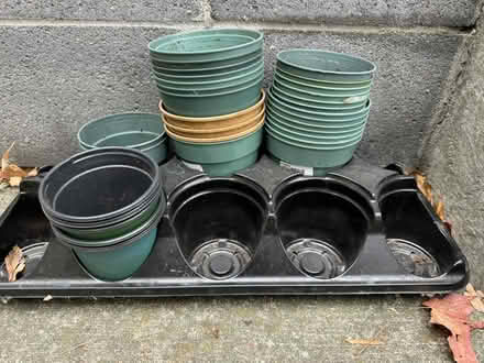 Photo of free seedling pots (Bloor/Dufferin) #1