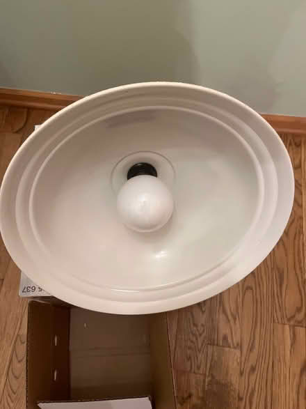 Photo of free Hanging light fixture (Near Busse and Golf) #2