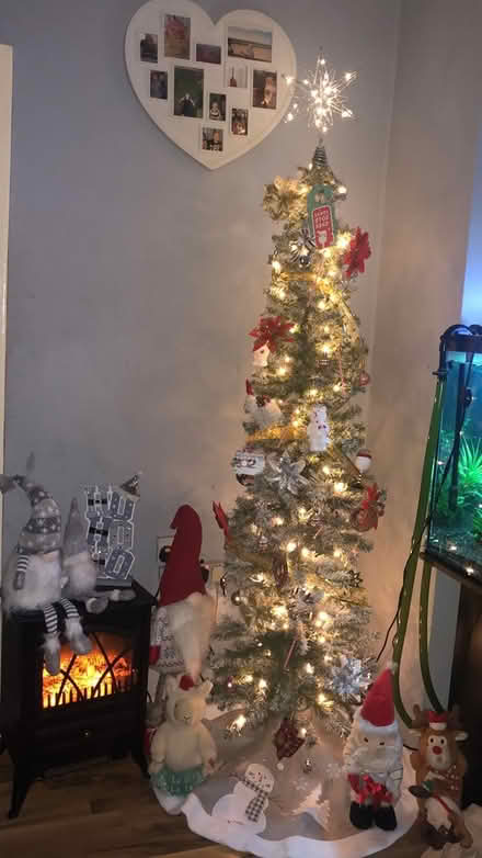 Photo of free Christmas tree only (BD18) #1